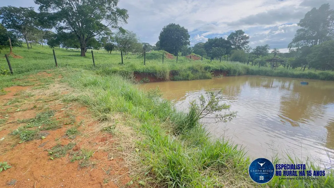 Sítio / Rancho com 4 quartos à venda, 25m2 em Abadiania - GO - imagem 8 Foto 8 de Sítio / Rancho com 4 quartos à venda, 25m2 em Abadiania - GO