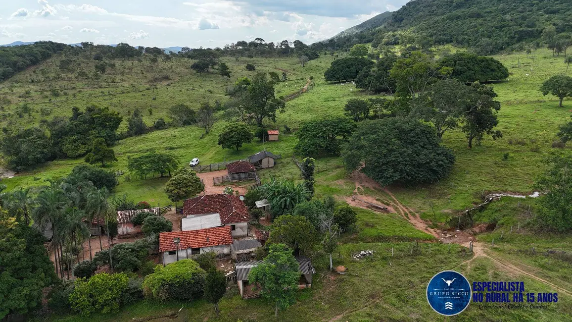 Foto 4 de Fazenda / Haras à venda, 37m2 em Anapolis - GO