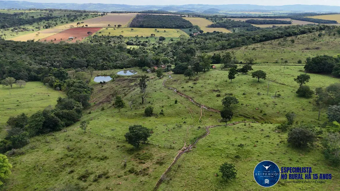 Foto 9 de Fazenda / Haras à venda, 37m2 em Anapolis - GO
