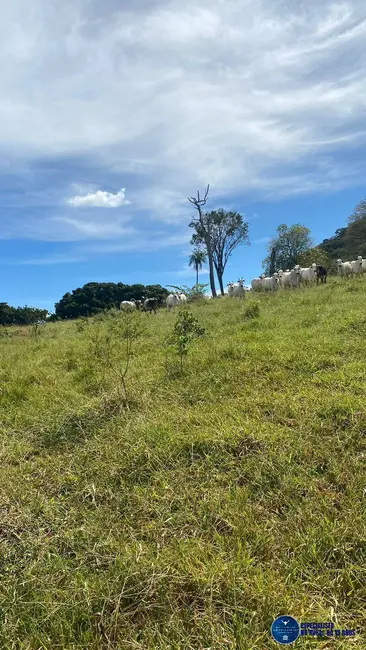Foto 5 de Fazenda / Haras à venda, 37m2 em Anapolis - GO
