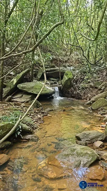 Foto 7 de Fazenda / Haras à venda, 37m2 em Anapolis - GO