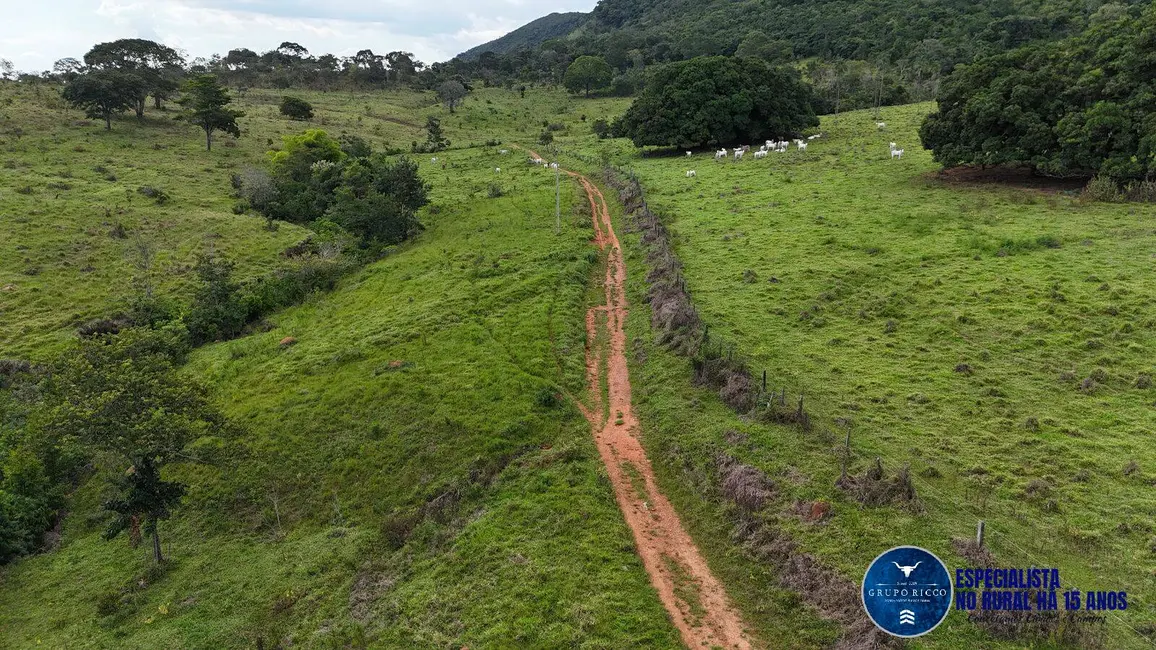 Foto 6 de Fazenda / Haras à venda, 37m2 em Anapolis - GO