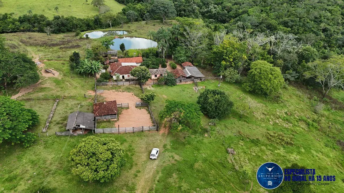 Foto 3 de Fazenda / Haras à venda, 37m2 em Anapolis - GO