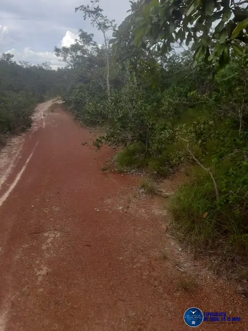 Foto 2 de Fazenda / Haras à venda, 480m2 em Guiratinga - MT