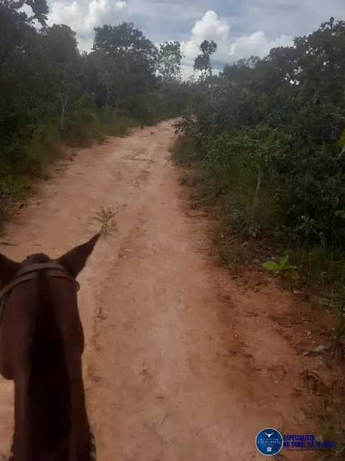 Foto 1 de Fazenda / Haras à venda, 480m2 em Guiratinga - MT