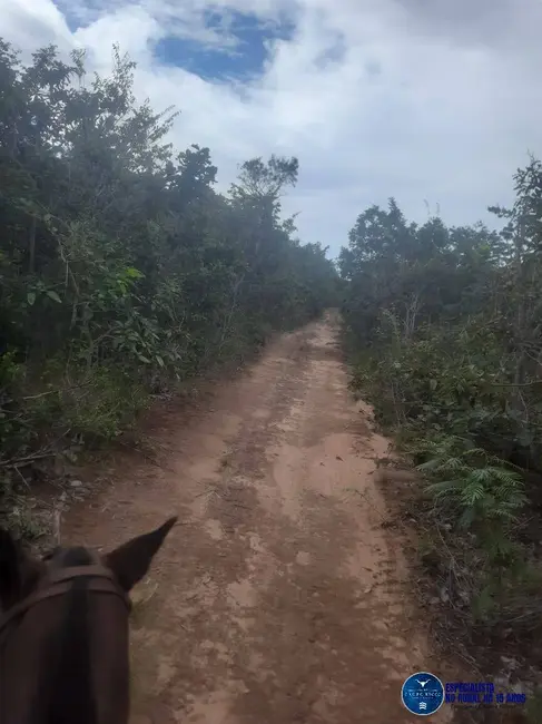Foto 3 de Fazenda / Haras à venda, 480m2 em Guiratinga - MT