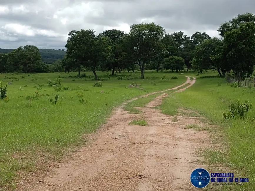 Foto 5 de Fazenda / Haras à venda, 40m2 em Aragarcas - GO