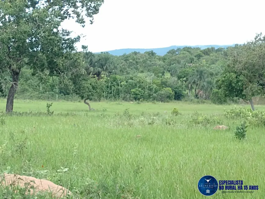 Foto 2 de Fazenda / Haras à venda, 40m2 em Aragarcas - GO