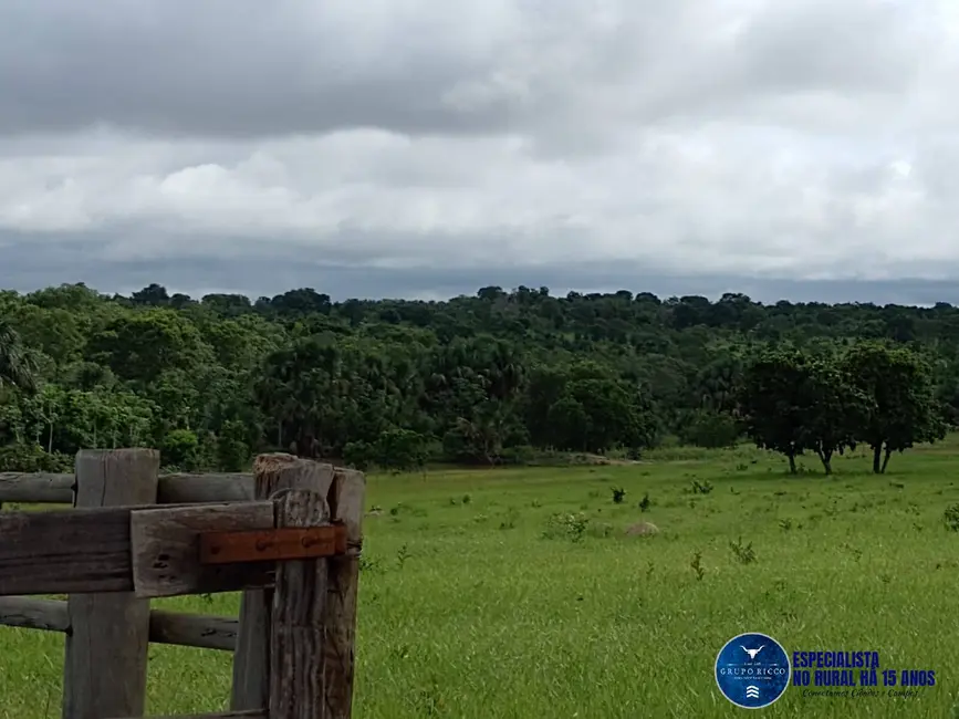 Foto 3 de Fazenda / Haras à venda, 40m2 em Aragarcas - GO