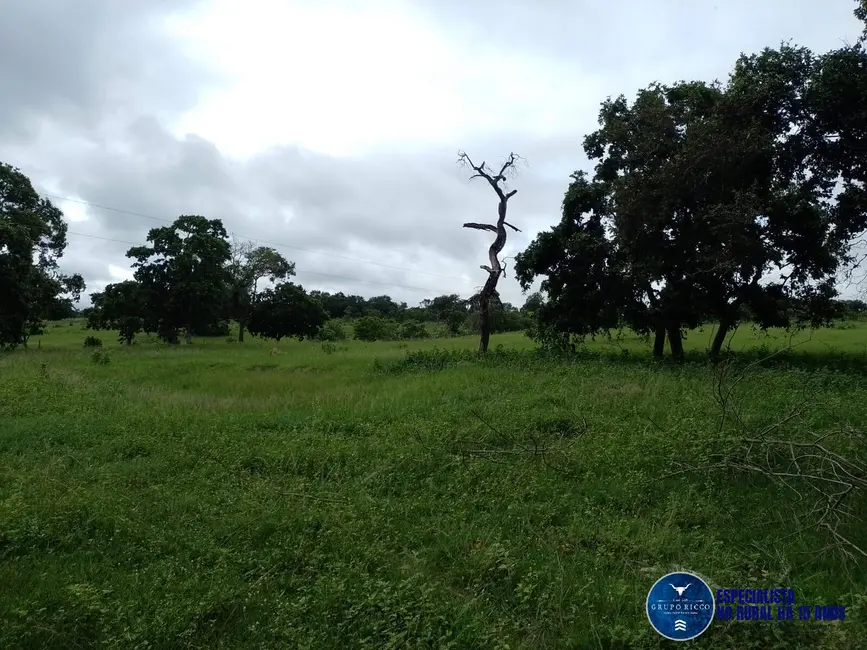 Foto 9 de Fazenda / Haras à venda, 40m2 em Aragarcas - GO