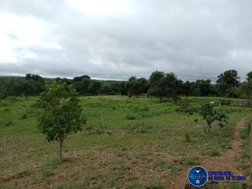 Foto 7 de Fazenda / Haras à venda, 40m2 em Aragarcas - GO