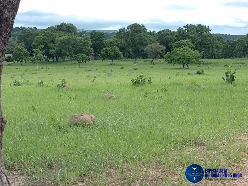 Foto 6 de Fazenda / Haras à venda, 40m2 em Aragarcas - GO