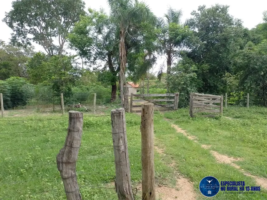 Foto 8 de Fazenda / Haras à venda, 40m2 em Aragarcas - GO
