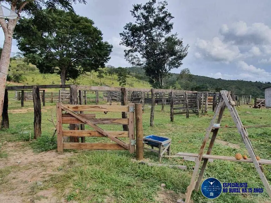 Foto 2 de Fazenda / Haras à venda, 54m2 em Cocalzinho De Goias - GO