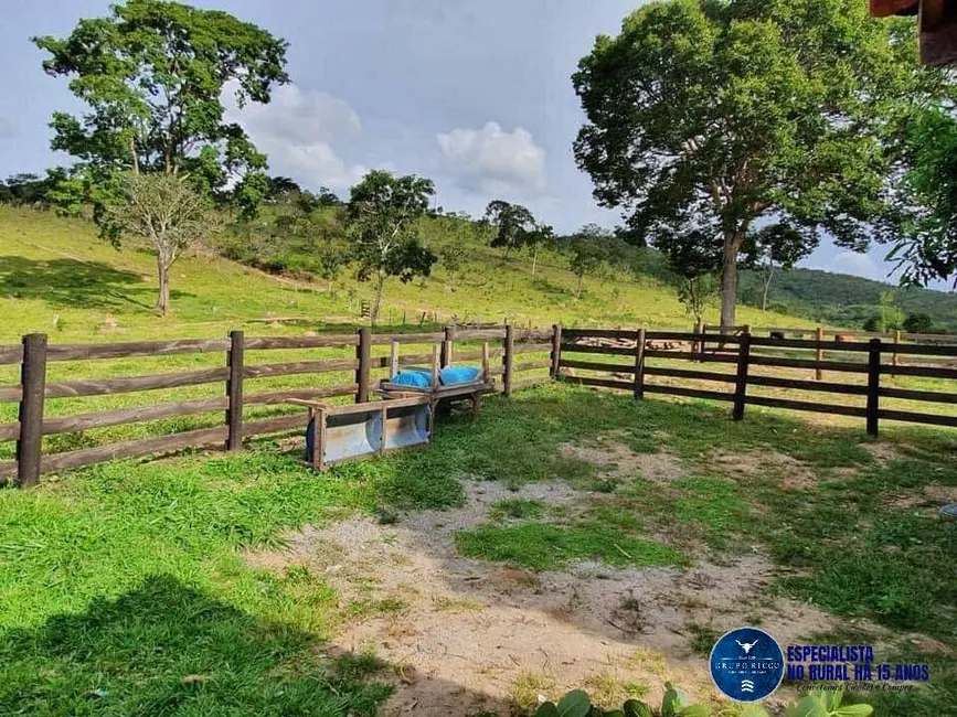 Foto 5 de Fazenda / Haras à venda, 54m2 em Cocalzinho De Goias - GO