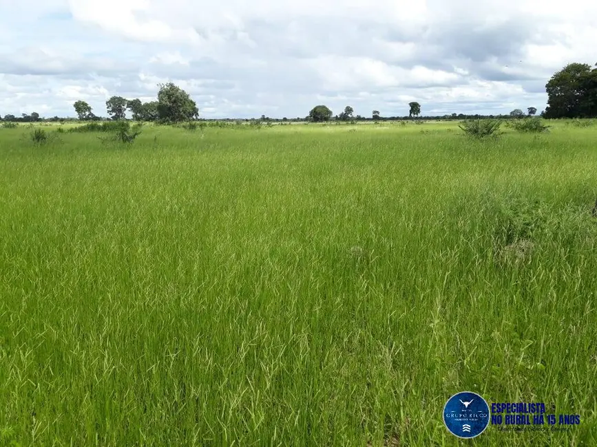 Fazenda / Haras à venda, 1920m2 em Araguaiana - MT - imagem 7 Foto 7 de Fazenda / Haras à venda, 1920m2 em Araguaiana - MT