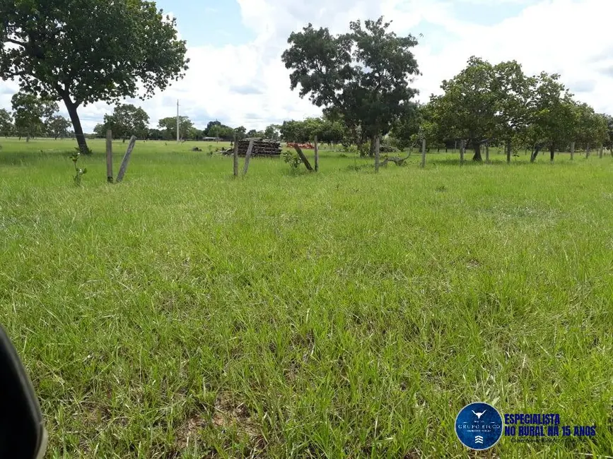 Fazenda / Haras à venda, 1920m2 em Araguaiana - MT - imagem 5 Foto 5 de Fazenda / Haras à venda, 1920m2 em Araguaiana - MT
