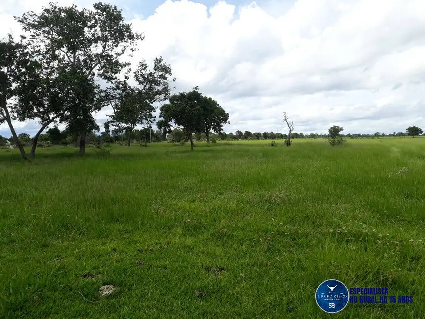 Fazenda / Haras à venda, 1920m2 em Araguaiana - MT - imagem 9 Foto 9 de Fazenda / Haras à venda, 1920m2 em Araguaiana - MT