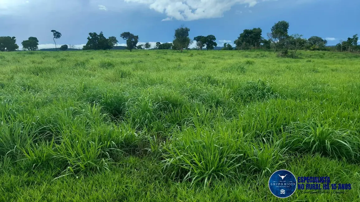 Foto 1 de Fazenda / Haras com 4 quartos à venda, 75m2 em Mozarlandia - GO