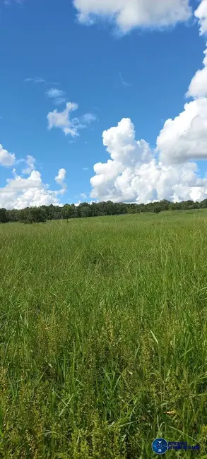 Foto 3 de Fazenda / Haras com 4 quartos à venda, 75m2 em Mozarlandia - GO