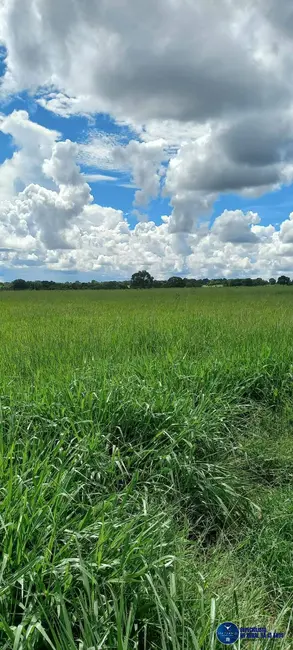 Foto 5 de Fazenda / Haras com 4 quartos à venda, 75m2 em Mozarlandia - GO