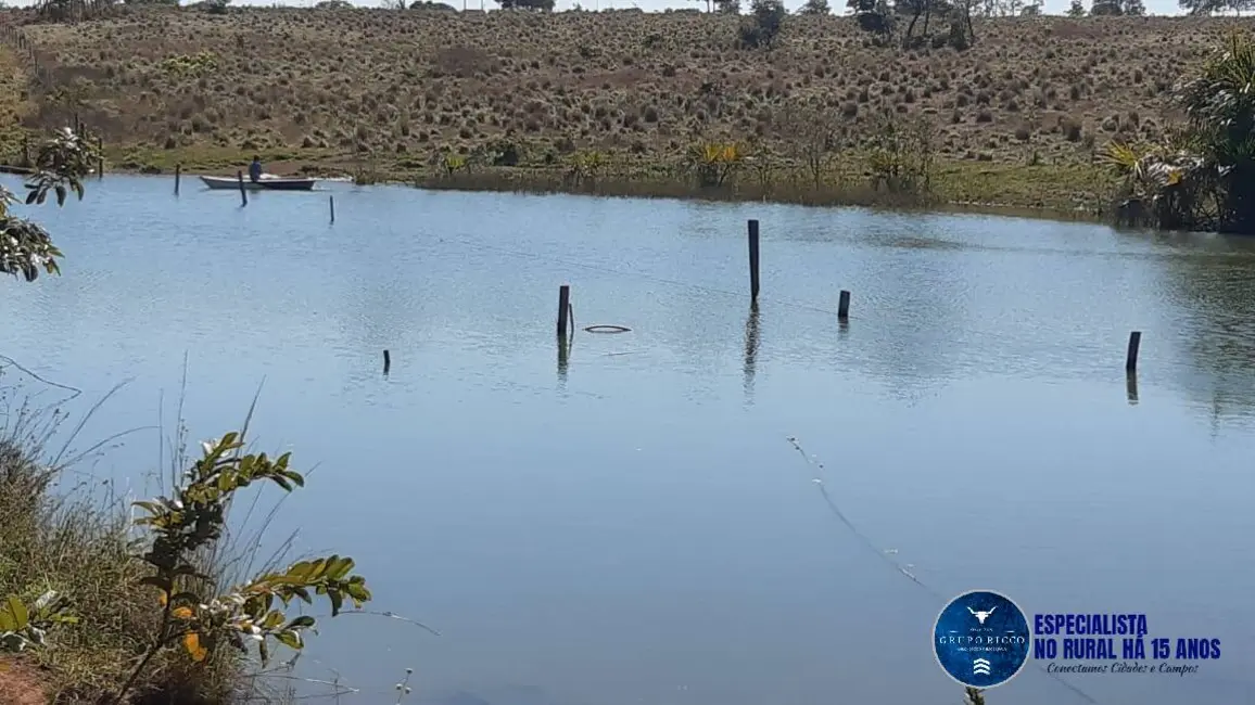 Foto 8 de Fazenda / Haras com 4 quartos à venda, 75m2 em Mozarlandia - GO