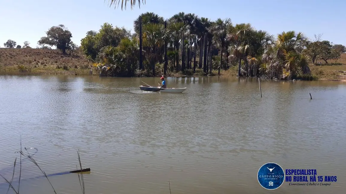 Foto 6 de Fazenda / Haras com 4 quartos à venda, 75m2 em Mozarlandia - GO