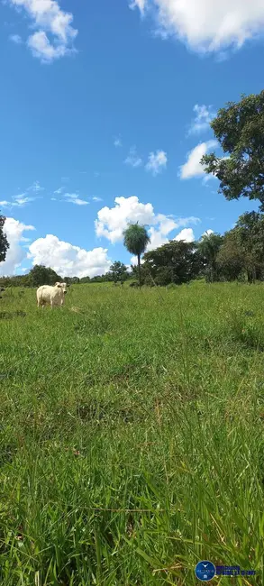 Foto 4 de Fazenda / Haras com 4 quartos à venda, 75m2 em Mozarlandia - GO