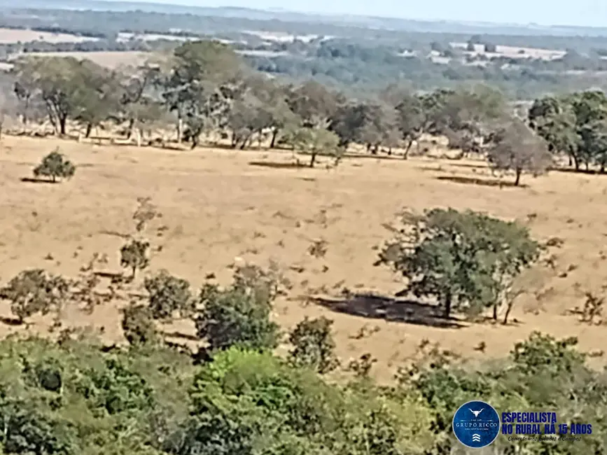 Foto 7 de Fazenda / Haras com 3 quartos à venda, 38m2 em Perolandia - GO