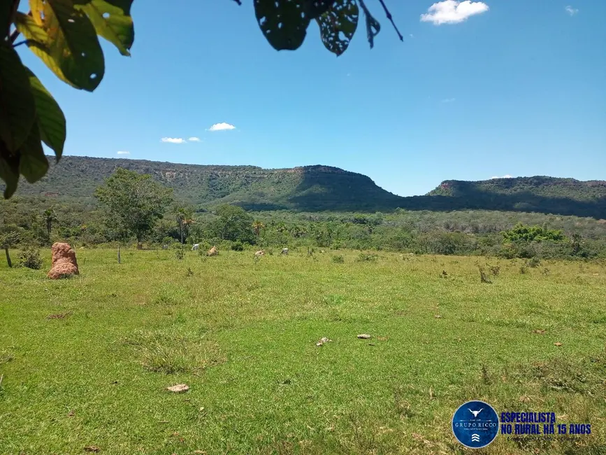 Foto 1 de Fazenda / Haras com 3 quartos à venda, 38m2 em Perolandia - GO