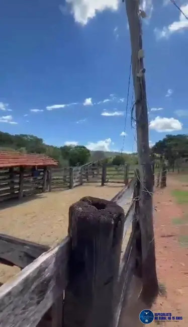Foto 5 de Fazenda / Haras à venda, 24m2 em Caturai - GO