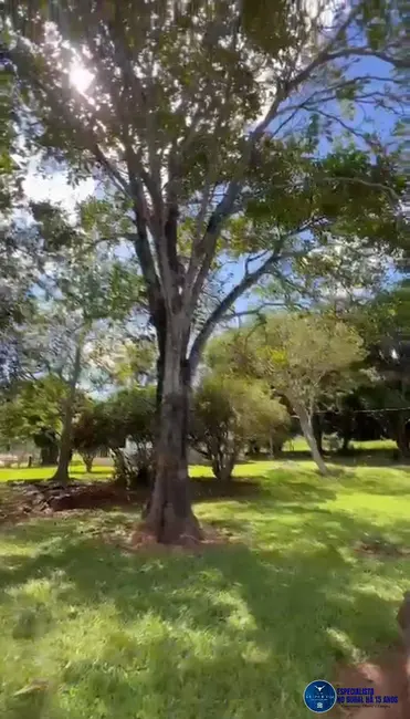 Foto 2 de Fazenda / Haras à venda, 24m2 em Caturai - GO