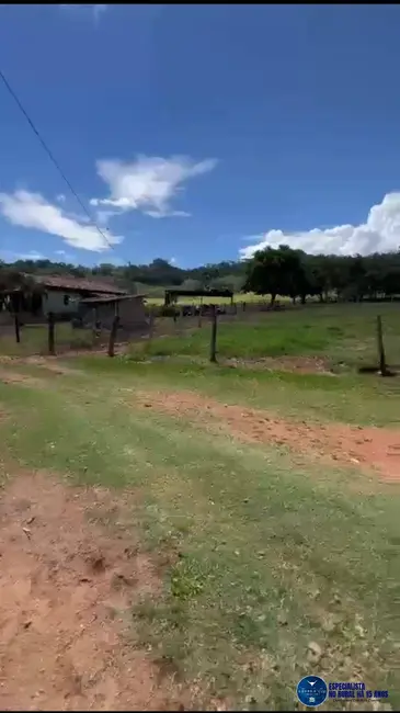Foto 4 de Fazenda / Haras à venda, 24m2 em Caturai - GO