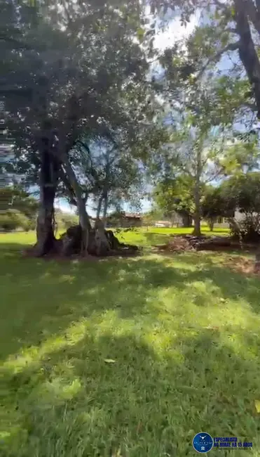 Foto 9 de Fazenda / Haras à venda, 24m2 em Caturai - GO