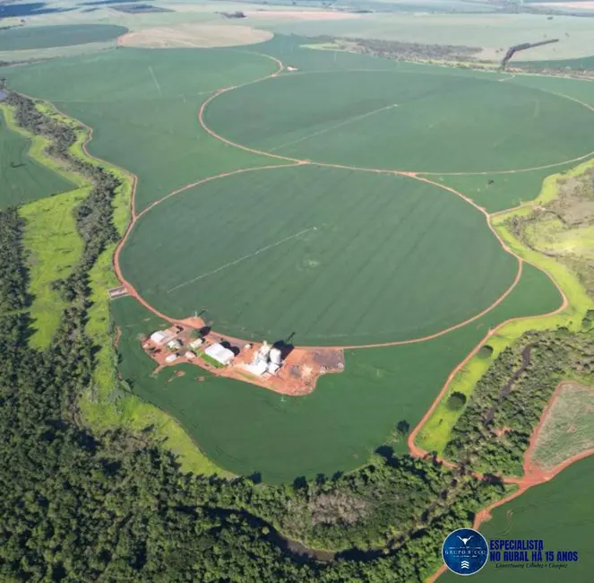 Foto 1 de Fazenda / Haras à venda, 770m2 em Andorinhas, Tupaciguara - MG