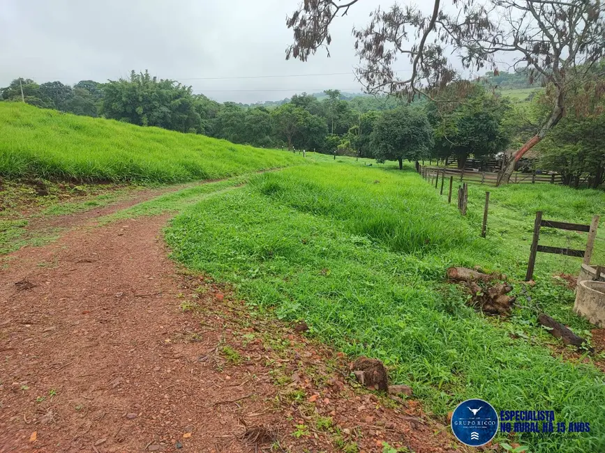 Chácara à venda em Itaucu - GO - imagem 7 Foto 7 de Chácara à venda em Itaucu - GO