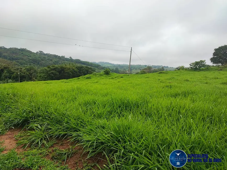 Chácara à venda em Itaucu - GO - imagem 3 Foto 3 de Chácara à venda em Itaucu - GO