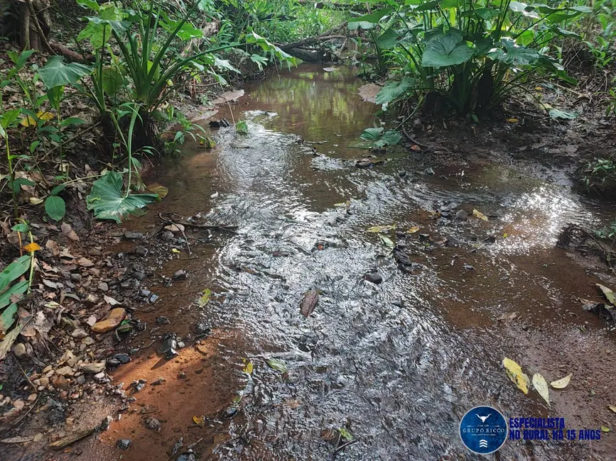 Foto 2 de Chácara à venda em Itaucu - GO