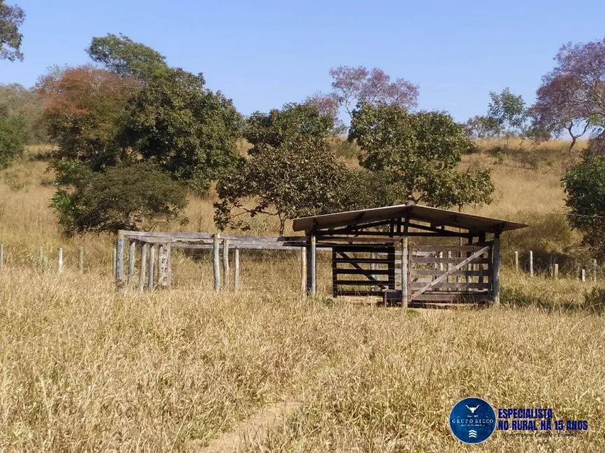Foto 6 de Fazenda / Haras à venda, 40m2 em Sao Miguel Do Passa Quatro - GO