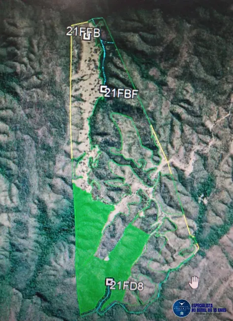 Foto 8 de Fazenda / Haras à venda, 40m2 em Sao Miguel Do Passa Quatro - GO