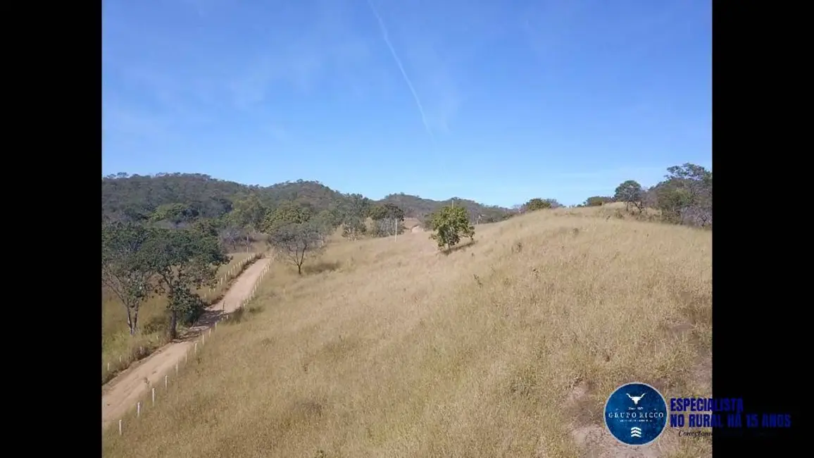 Foto 4 de Fazenda / Haras à venda, 40m2 em Sao Miguel Do Passa Quatro - GO