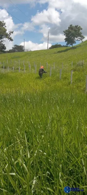 Foto 3 de Fazenda / Haras à venda, 40m2 em Sao Miguel Do Passa Quatro - GO