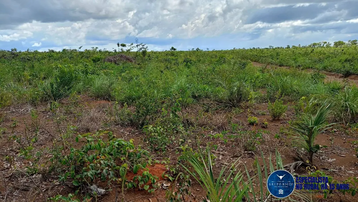 Foto 2 de Fazenda / Haras à venda, 2262m2 em Caxias - MA