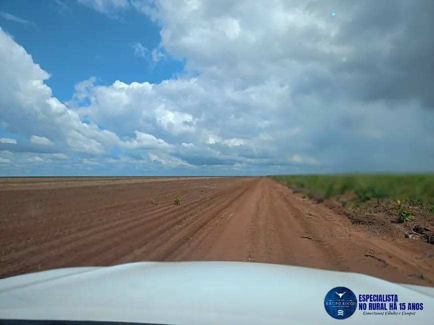Foto 9 de Fazenda / Haras à venda, 2262m2 em Caxias - MA