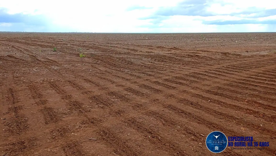 Foto 5 de Fazenda / Haras à venda, 2262m2 em Caxias - MA