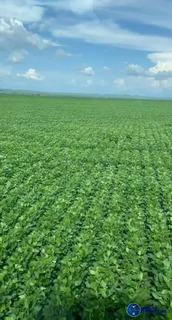 Foto 7 de Fazenda / Haras à venda, 3000m2 em Estreito - MA