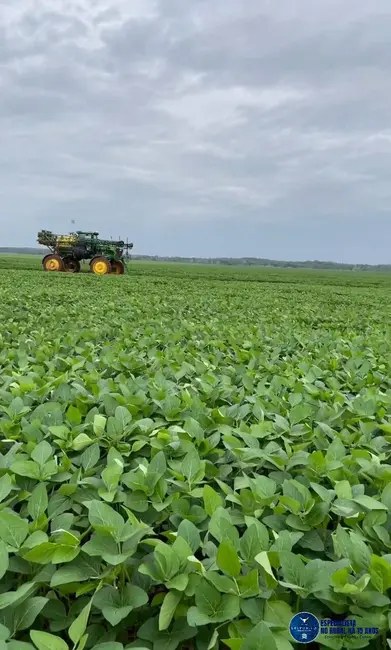 Foto 1 de Fazenda / Haras à venda, 3000m2 em Estreito - MA