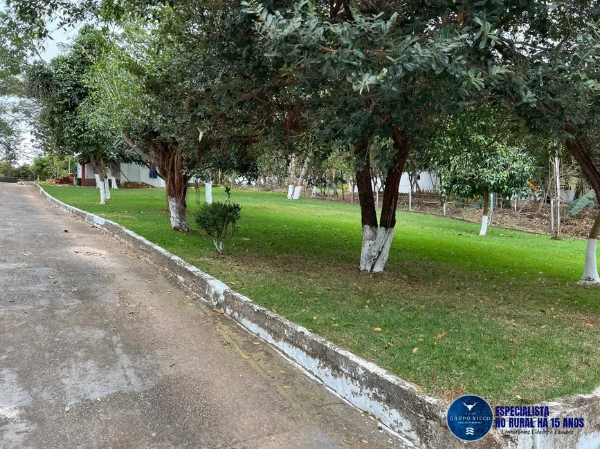 Foto 6 de Chácara à venda, 2000m2 em Aragoiania - GO