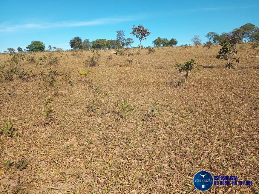 Foto 2 de Fazenda / Haras à venda, 38m2 em Caiaponia - GO