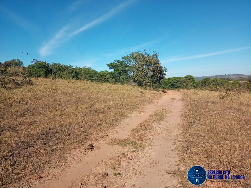 Foto 6 de Fazenda / Haras à venda, 38m2 em Caiaponia - GO